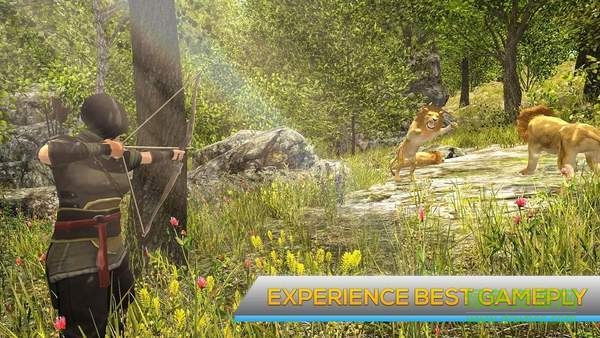 Animals Hunting Animals Hunting