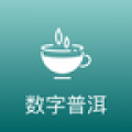 数字普洱