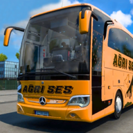 Public Tourist Bus City Games