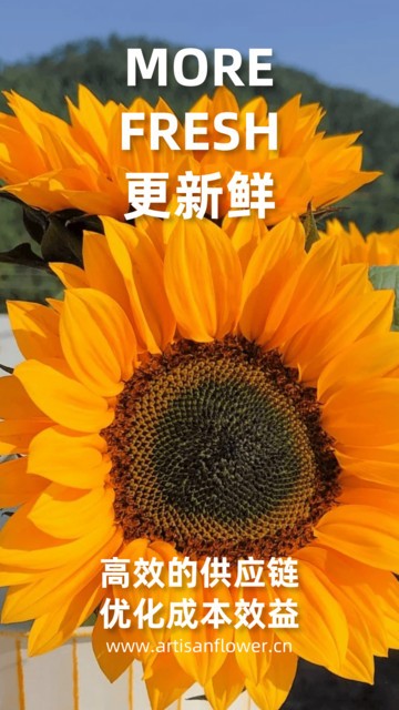 匠人花材