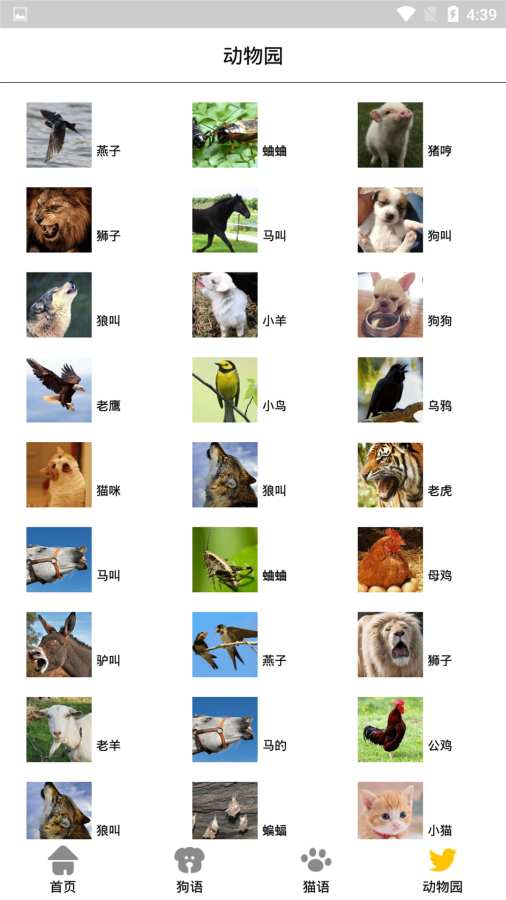 宠物翻译机 宠物翻译机