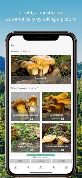 mushroom identification蘑菇鉴定软件