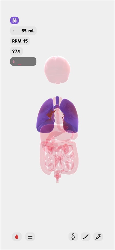 生命life手机版 生命life手机版