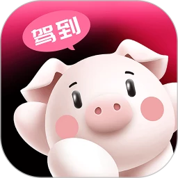 猪猪驾到