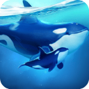 World of Water安装器