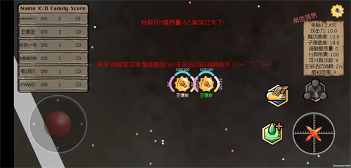 基因突变 基因突变