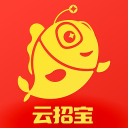 云招宝