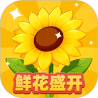 菊花播放器
