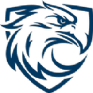 蓝天之鹰播放器