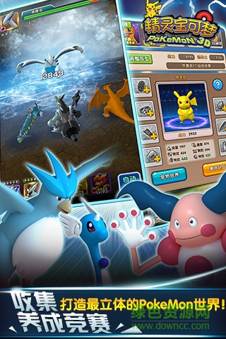 精灵宝可梦 精灵宝可梦