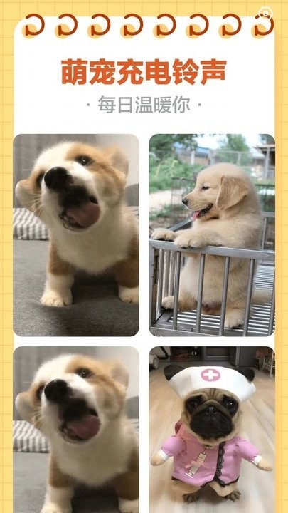 来福充电 安卓版v2.0.3 来福充电 安卓版v2.0.3