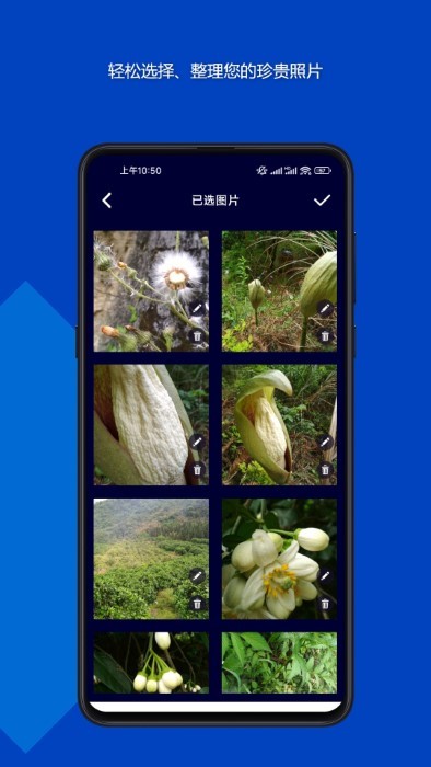 魔法音乐相册 魔法音乐相册