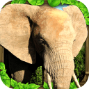 大象模拟器游戏(Elephant Sim)