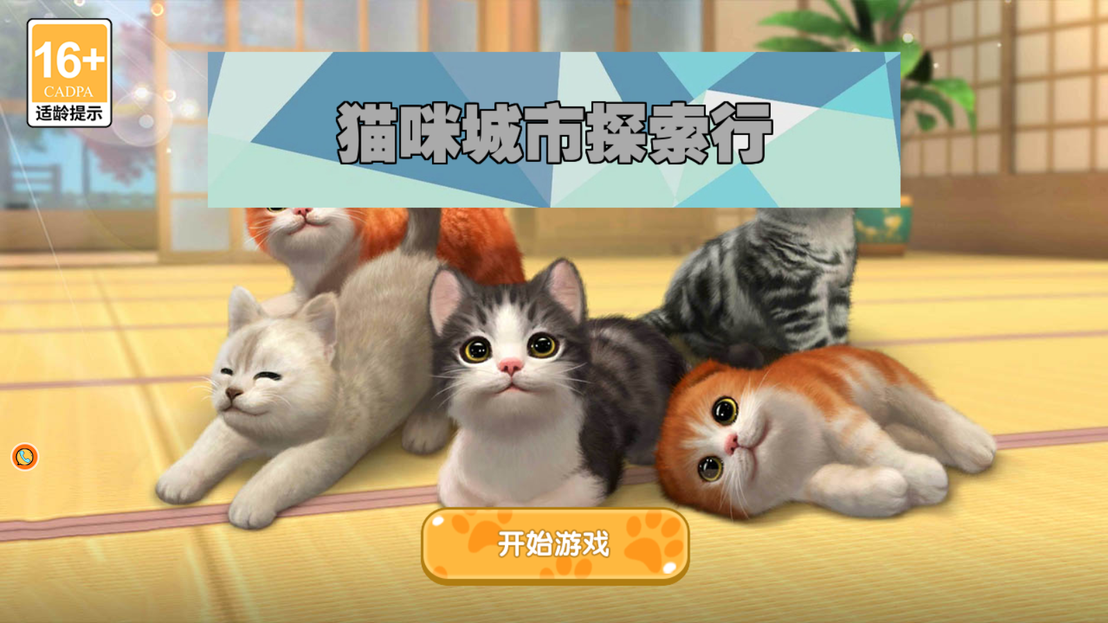 猫咪城市探索行