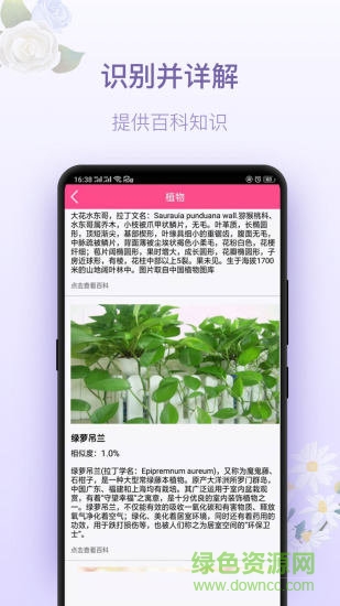 拍照识花神器 拍照识花神器