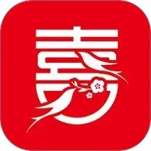喜上媒嫂