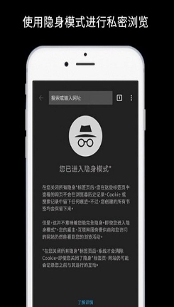 2023谷歌浏览器手机版app