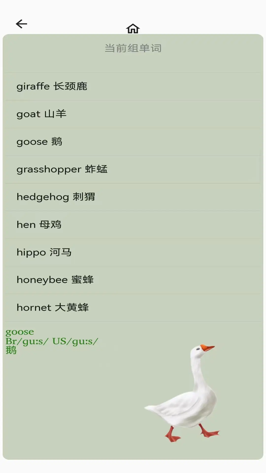 AI说英语 AI说英语