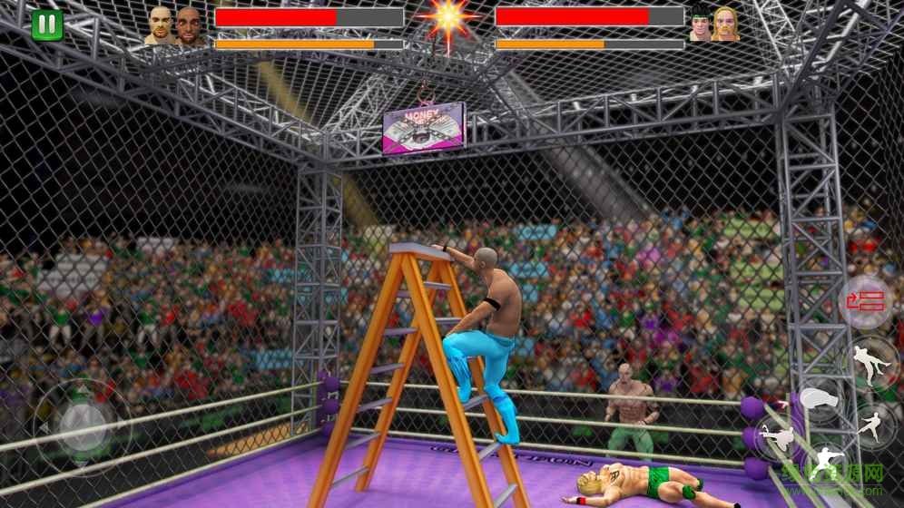 Cage Wrestling Cage Wrestling