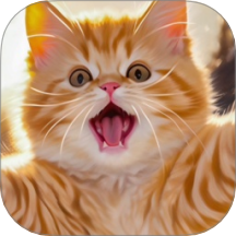 可爱猫咪世界