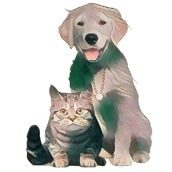 猫狗翻译免费版