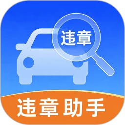 交通违章缴纳记录