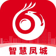 智慧凤城工作端
