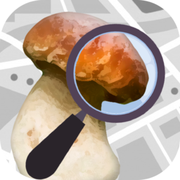 mushroom identification蘑菇鉴定软件