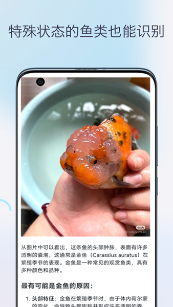 鱼类识别 安卓版v1.0