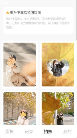 枫叶悦看 枫叶悦看