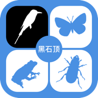 黑石顶生物多样性