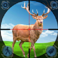 Deer Hunter Shooting Game 2021:Sniper Games