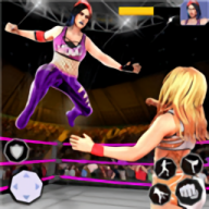 Bad Girls Wrestling