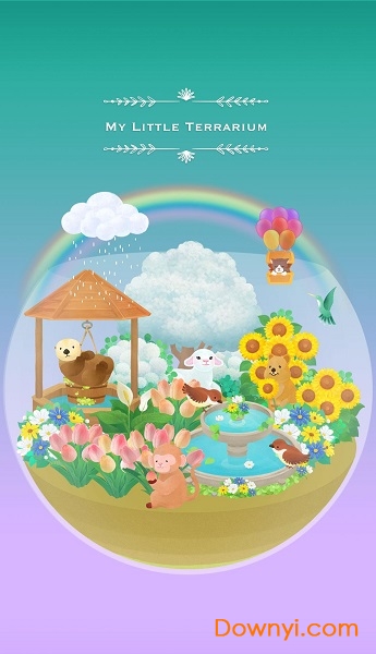 My Little Terrarium My Little Terrarium