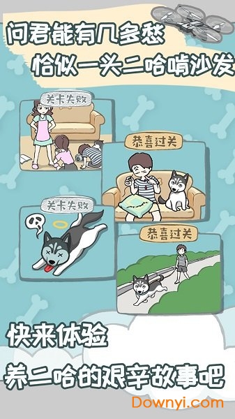 养只二哈不容易 养只二哈不容易