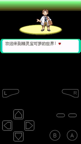 口袋妖怪 诸神之战