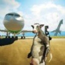 动物冒险派对模拟