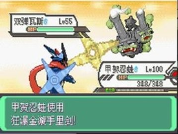 悟饭-口袋妖怪 究极绿宝石II Extra Extens