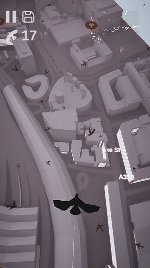 Pigeon: A Love Story