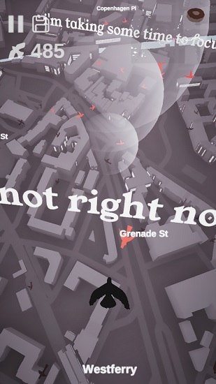 Pigeon: A Love Story