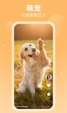 多多追剧 多多追剧