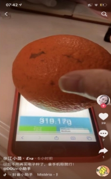 touchscale官方版本 touchscale官方版本