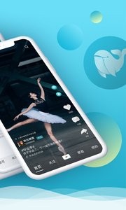 鲸落短视频 鲸落短视频