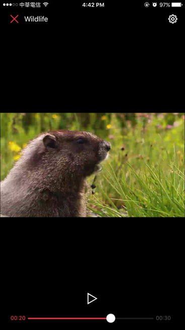 群晖ds video tv版