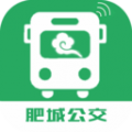 肥城掌上公交