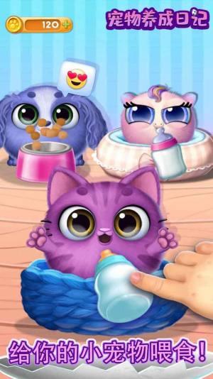 宠物养成日记 宠物养成日记