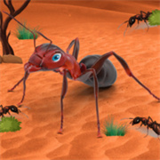 Ant Simulator