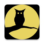 夜间屏幕手机版