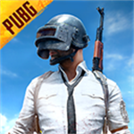 pubgmobile游戏