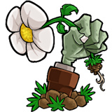植物大战僵尸转基因版